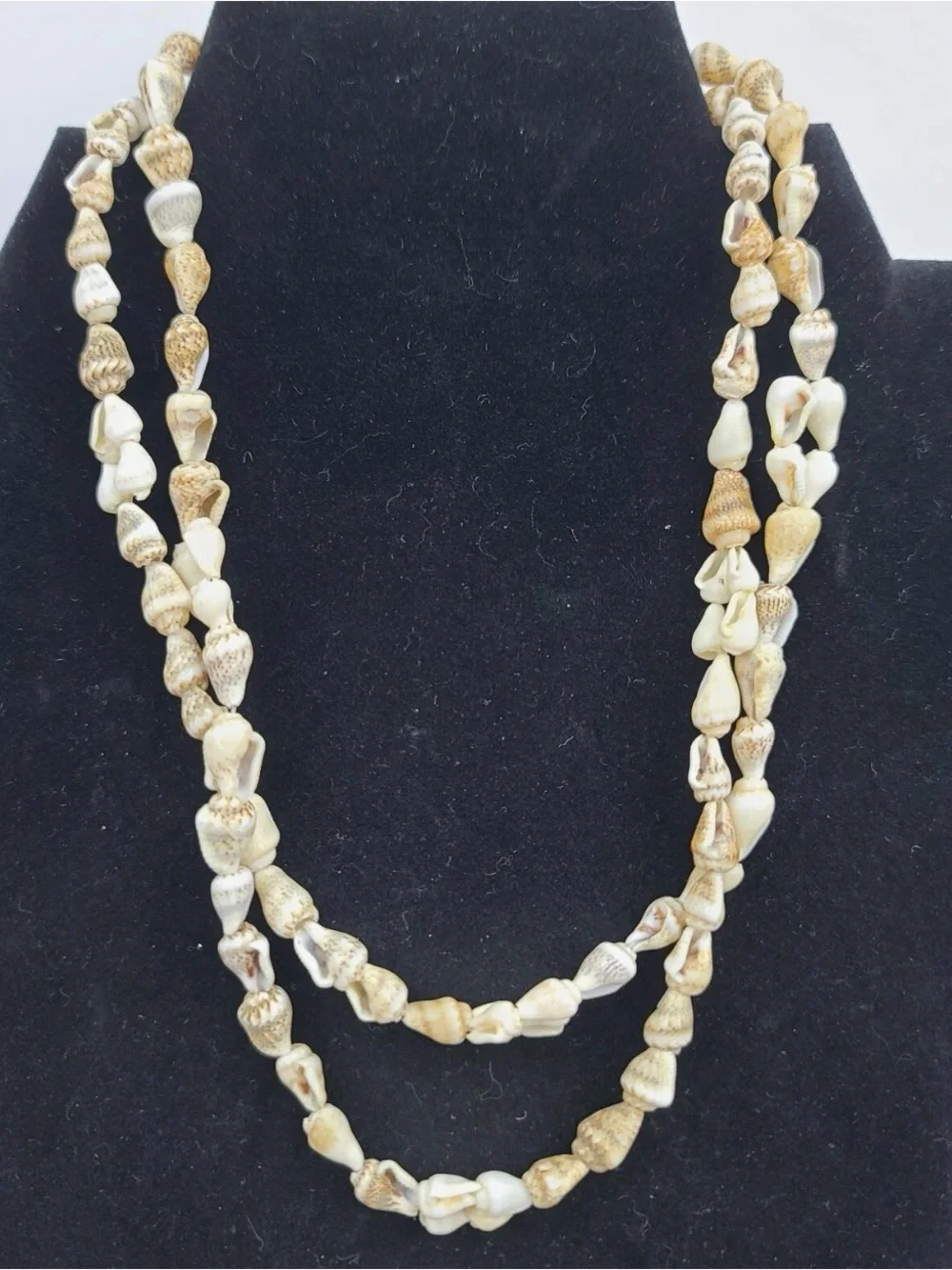 Mini conch shells necklace unisex